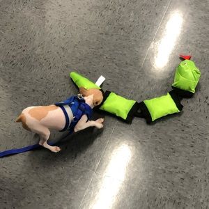 Meet your Posher, Avery